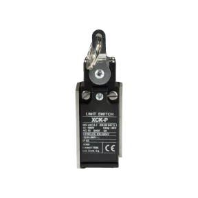 Surface-mounted pull switch OTS DSM (Plastic IP65)